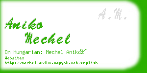 aniko mechel business card
